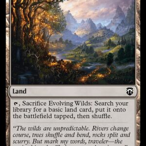 Evolving Wilds