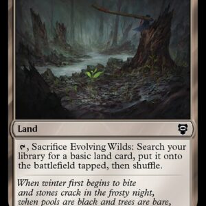 Evolving Wilds