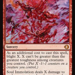Soul Immolation