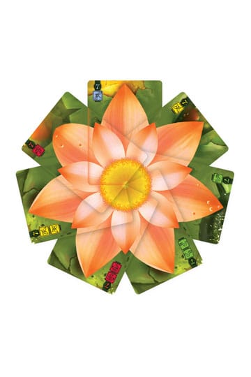 Lotus - Bild 2